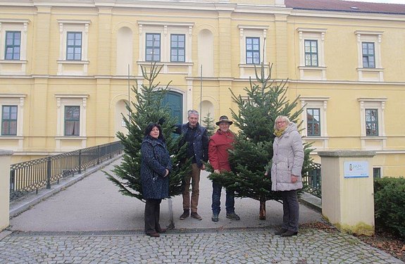 Christbaumspende für Rettet das Kind